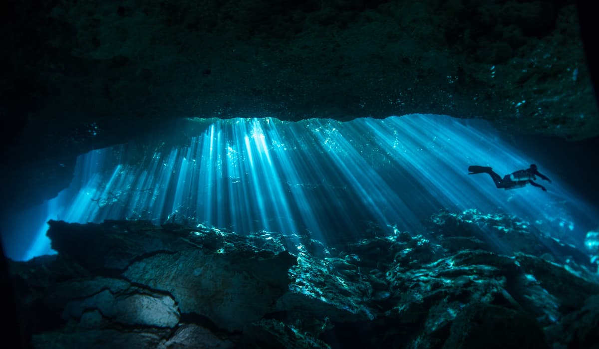 Come learn to scuba dive with me!